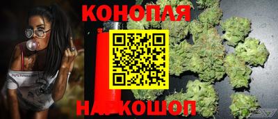 сатива Бийск