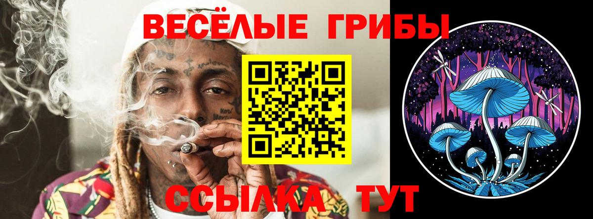 Галлюциногенные грибы MAGIC MUSHROOMS  Вход с VPN  Кириши 